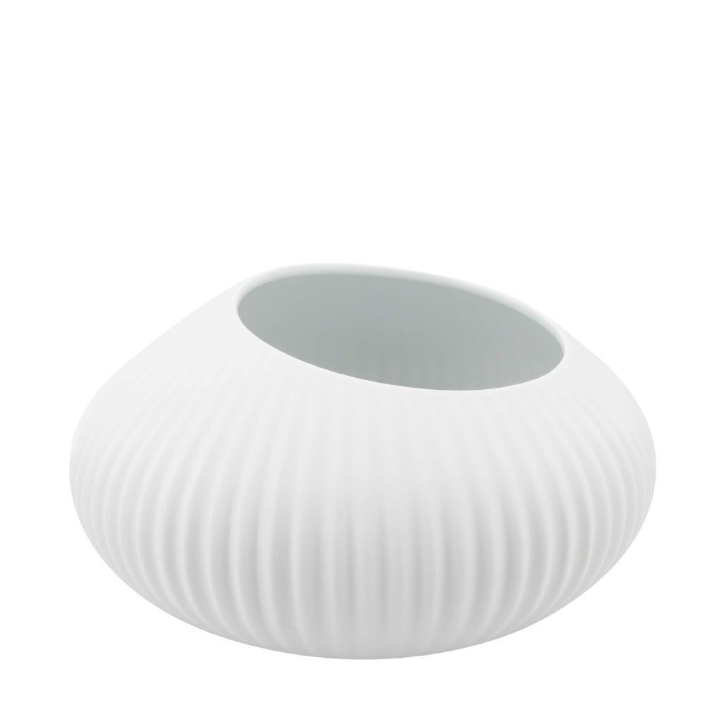 Shell White Bowl