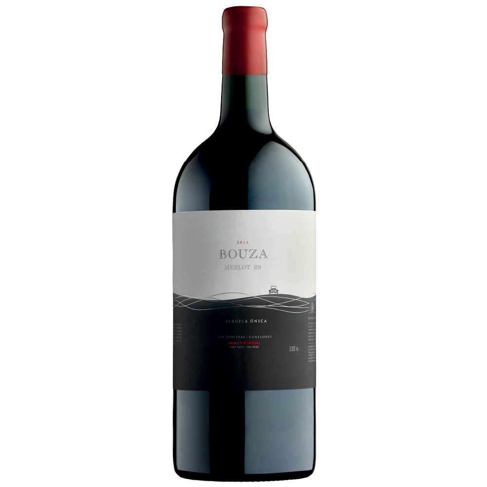 Merlot Parcela Única Doble Magnum