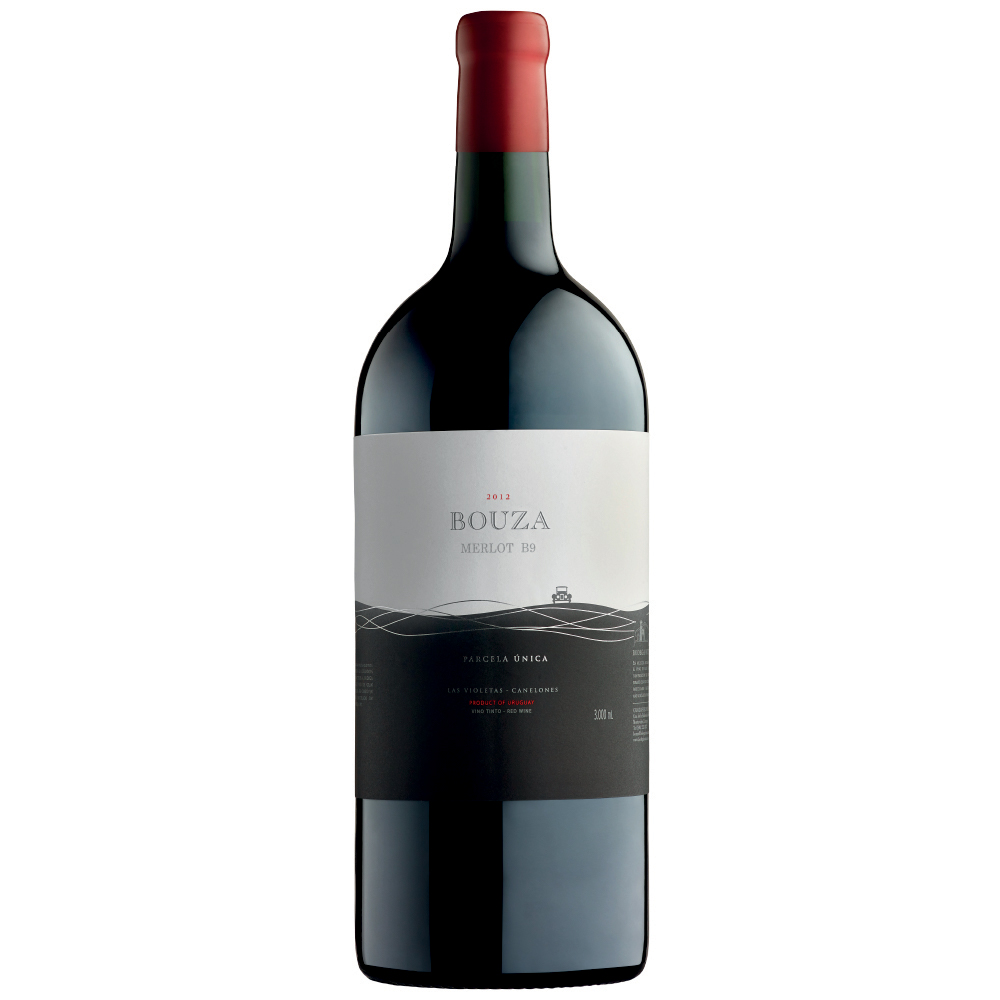 Merlot Parcela Única Doble Magnum